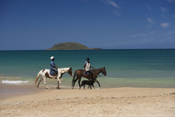 balade cheval guadeloupe