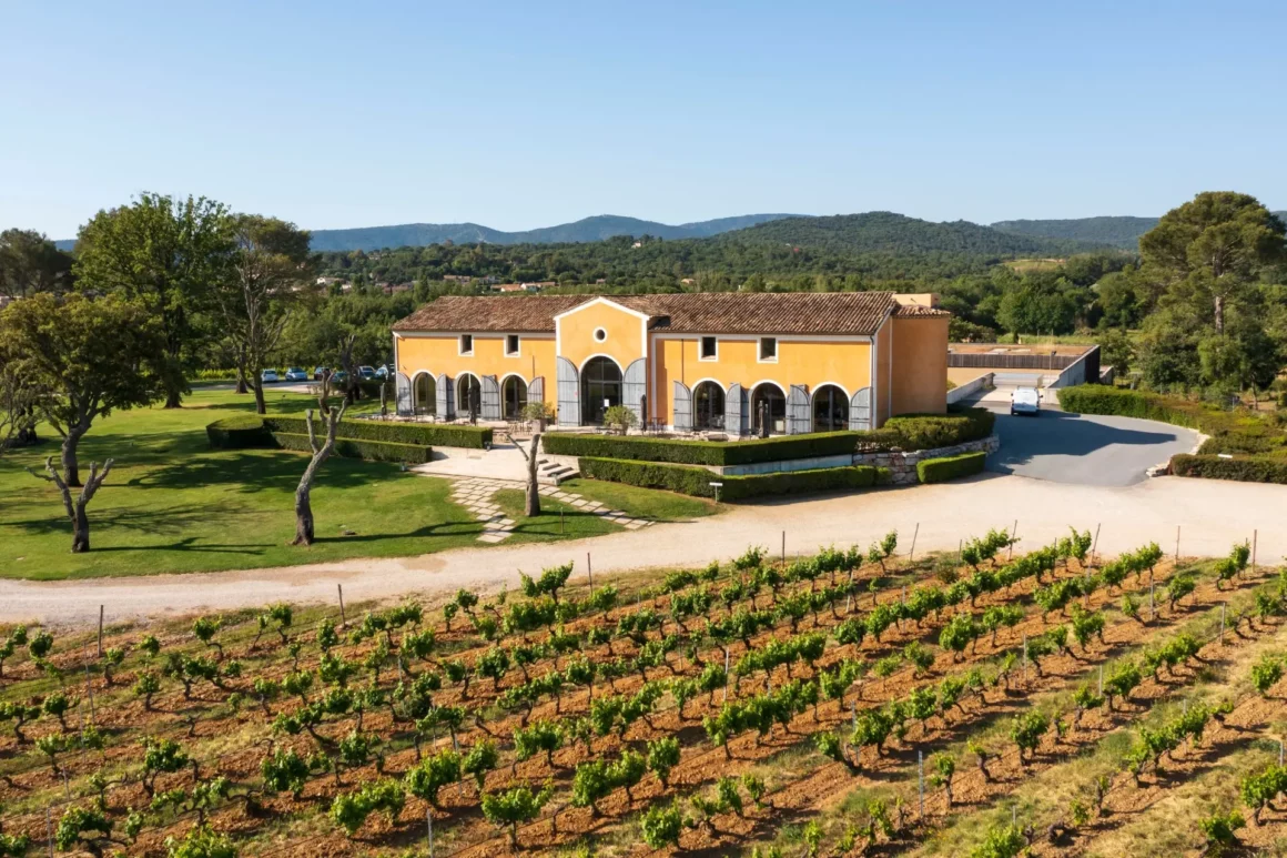 degustation-vin-cote-dazur-st-tropez