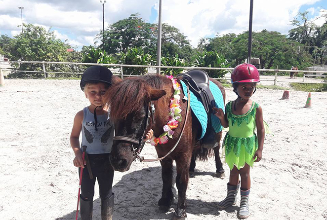 poney guadeloupe