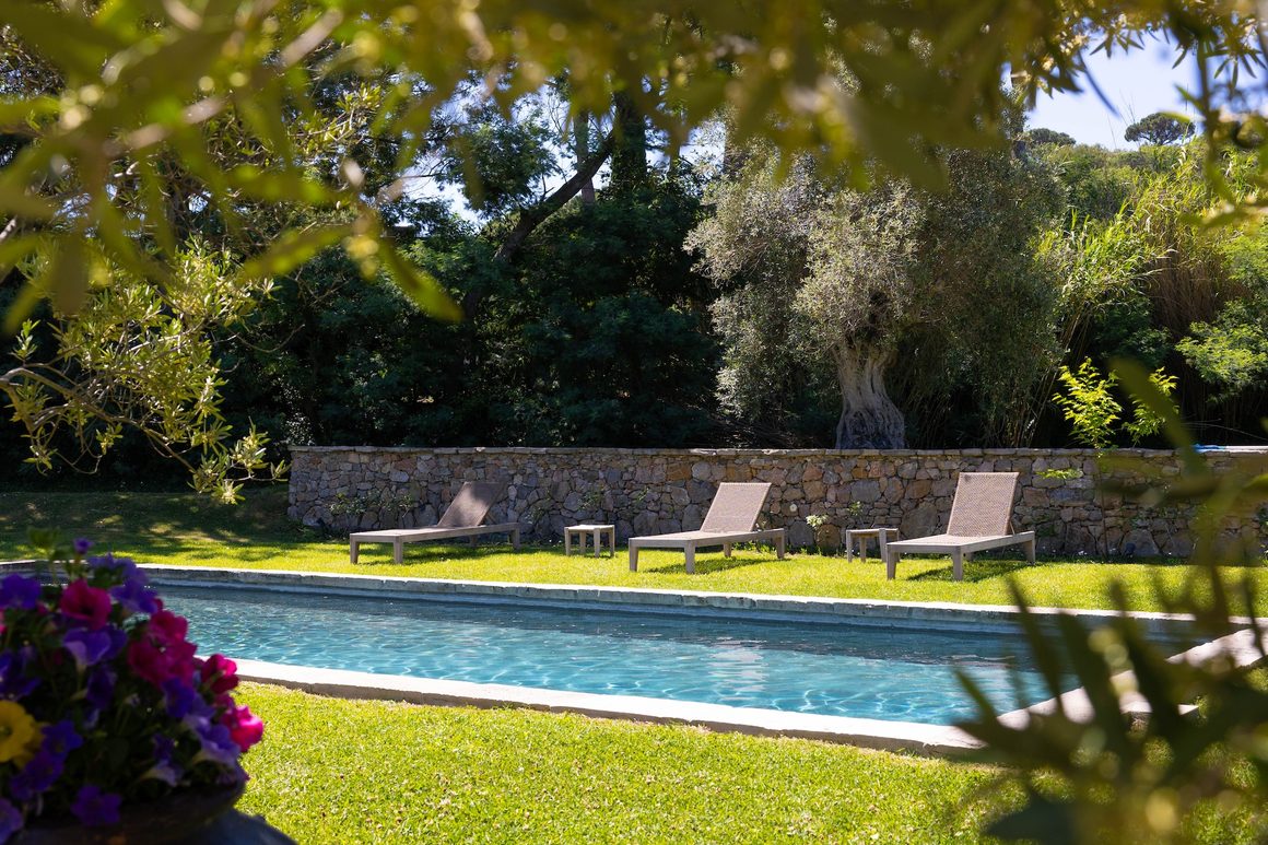 bastide provencal en pierre avec piscine et oliviers